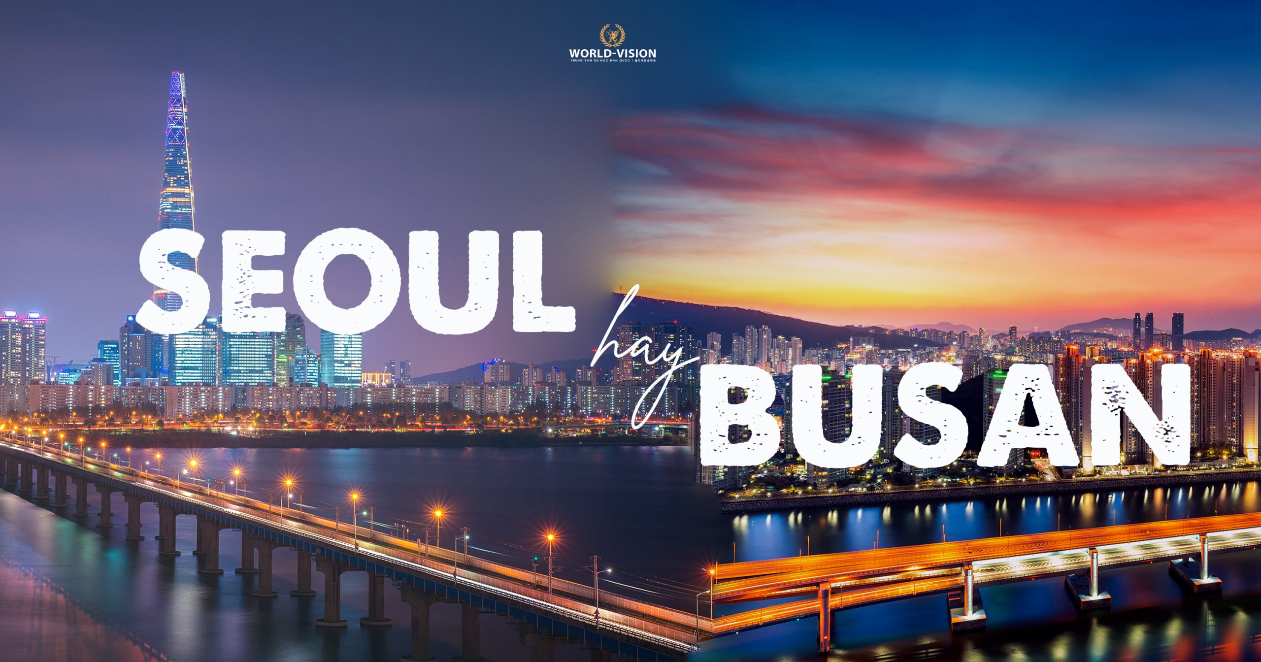 nen du hoc o busan hay seoul
