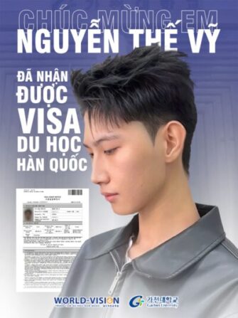 VISAVY