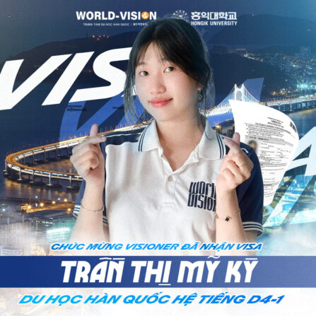 visaMYKY